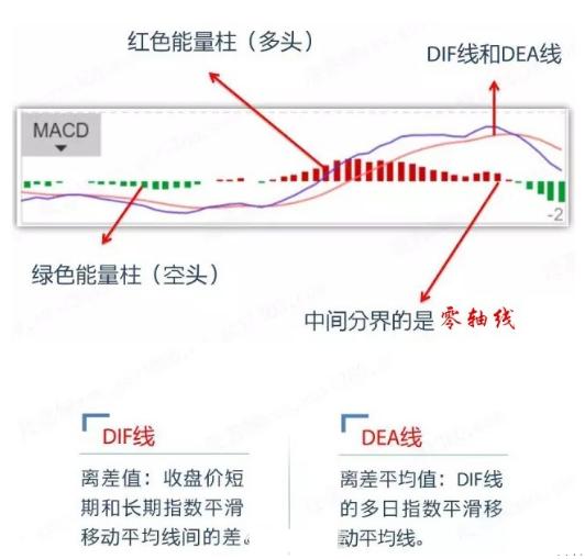 揭秘提升一肖一码准确率，探索第100092期数字预测的秘密策略,揭秘提升一肖一码100092期 05-07-11-13-34-38A：19