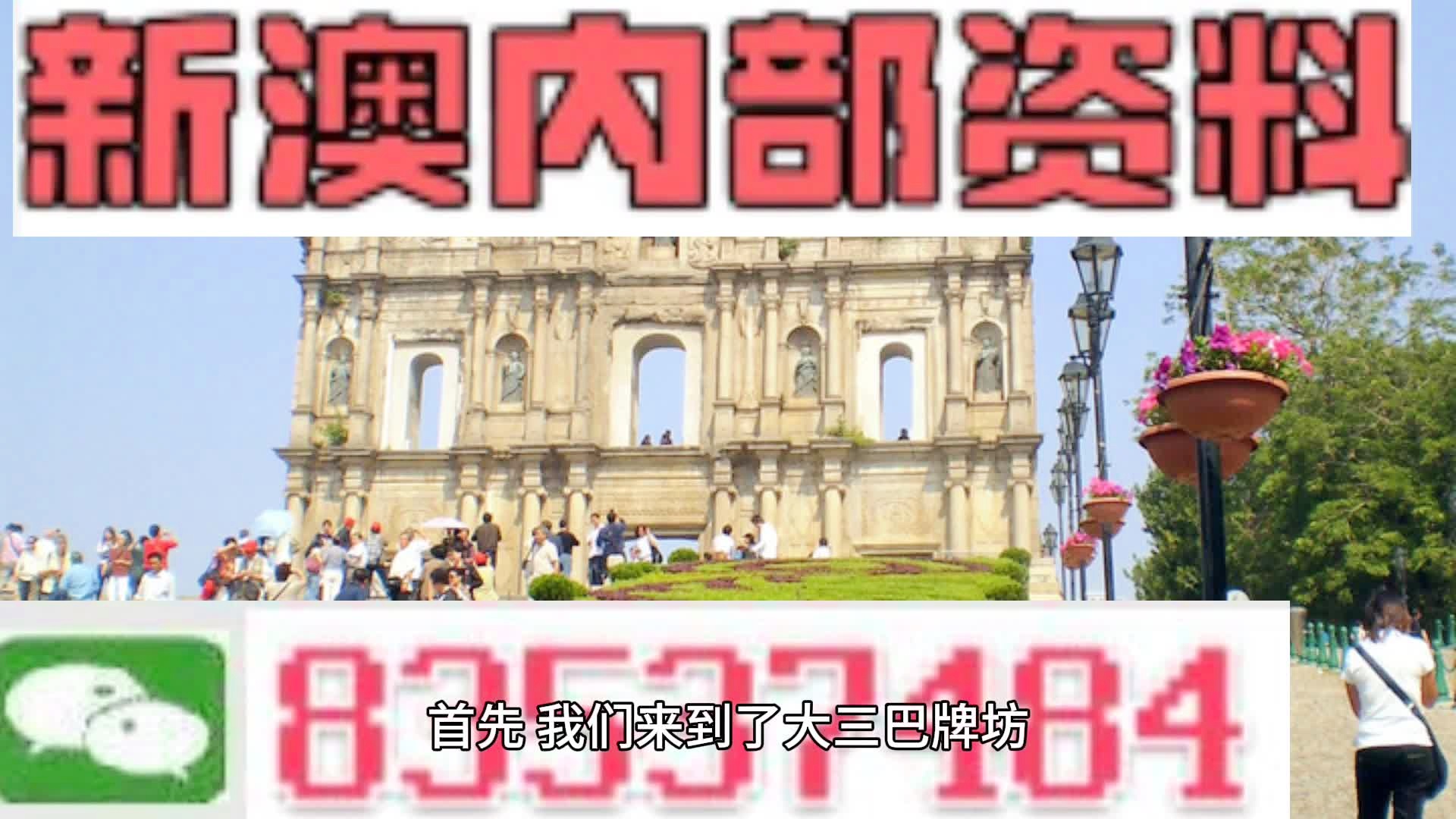 新澳精准资料解析，探索第086期的数字奥秘,新澳精准资料086期 06-22-28-38-40-49A：17