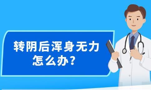 新澳精准资料免费提供最新版，探索与解读第032期 47-33-08-23-37-17与定时更新T，12的重要性,新澳精准资料免费提供最新版032期 47-33-08-23-37-17T：12