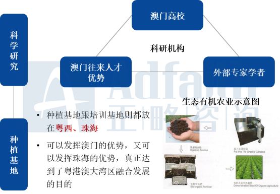 新澳精选资料免费提供，探索第029期的奥秘与数字魅力,新澳精选资料免费提供开029期 04-06-09-13-23-30D：49