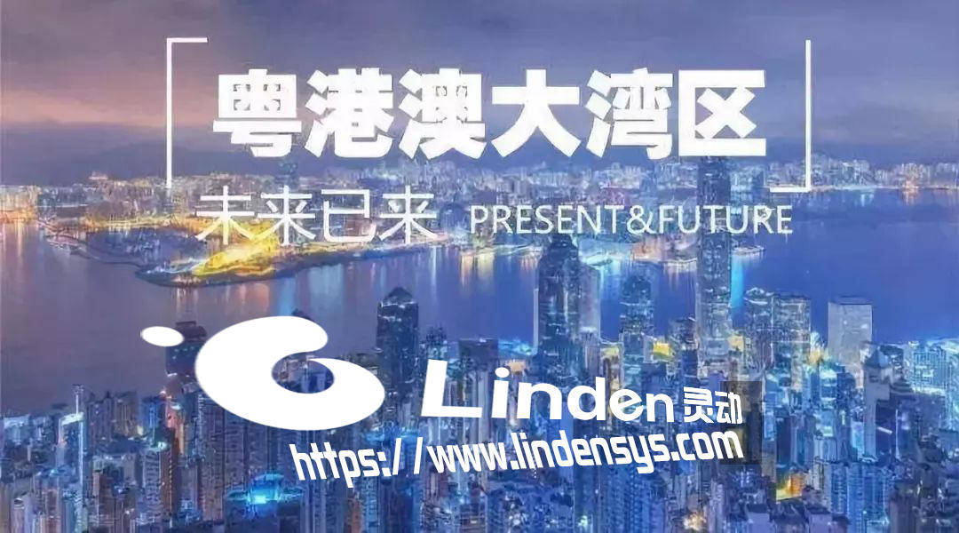 探索未来，香港正版资料免费直播的魅力与机遇——以第015期为例,2025年香港正版资料免费直播015期 09-19-41-24-16-36T：20