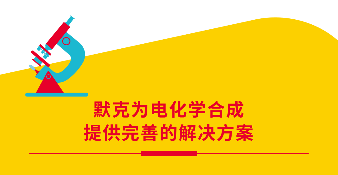 探索2025新奥正版资料第146期——解密数字组合12-16-25-28-43-49B与背后的秘密数字10,2025新奥正版资料146期 12-16-25-28-43-49B：10