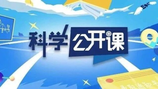 新奥长期免费资料大全三马080期深度解析，探寻数字背后的秘密与机遇,新奥长期免费资料大全三马080期 02-16-20-25-39-49Z：14