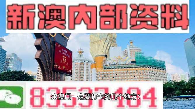 新澳2025年精准资料解析，探索第32期与第063期的奥秘,新澳2025年精准资料32期063期 02-06-11-14-32-46C：22