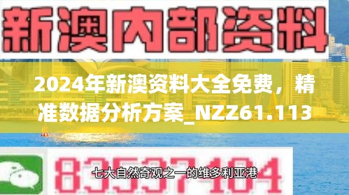 新澳精准正版资料免费第081期解析，解密数字世界的秘密钥匙,新澳精准正版资料免费081期 29-07-10-48-23-31T：06