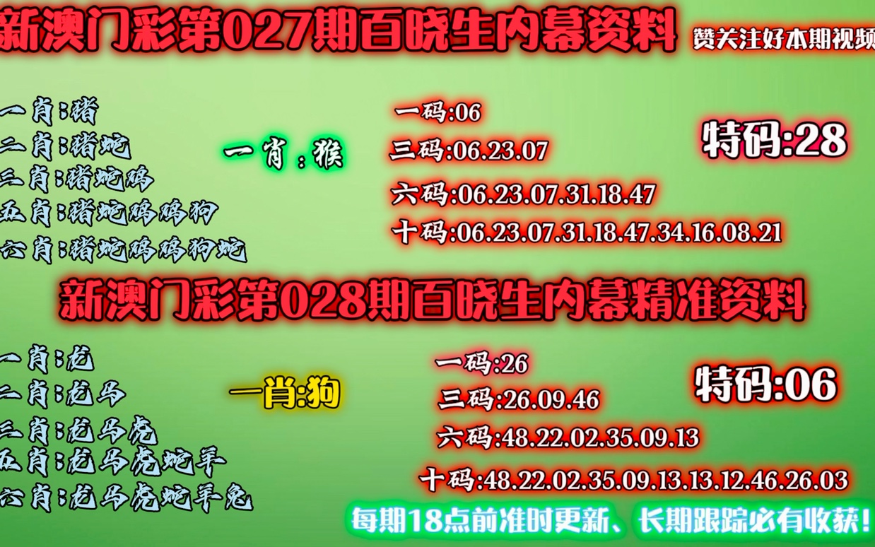 澳门精准一肖一码一码揭秘，探索数字背后的奥秘（第023期分析）,澳门精准一肖一码一码023期 05-06-08-12-23-41C：45